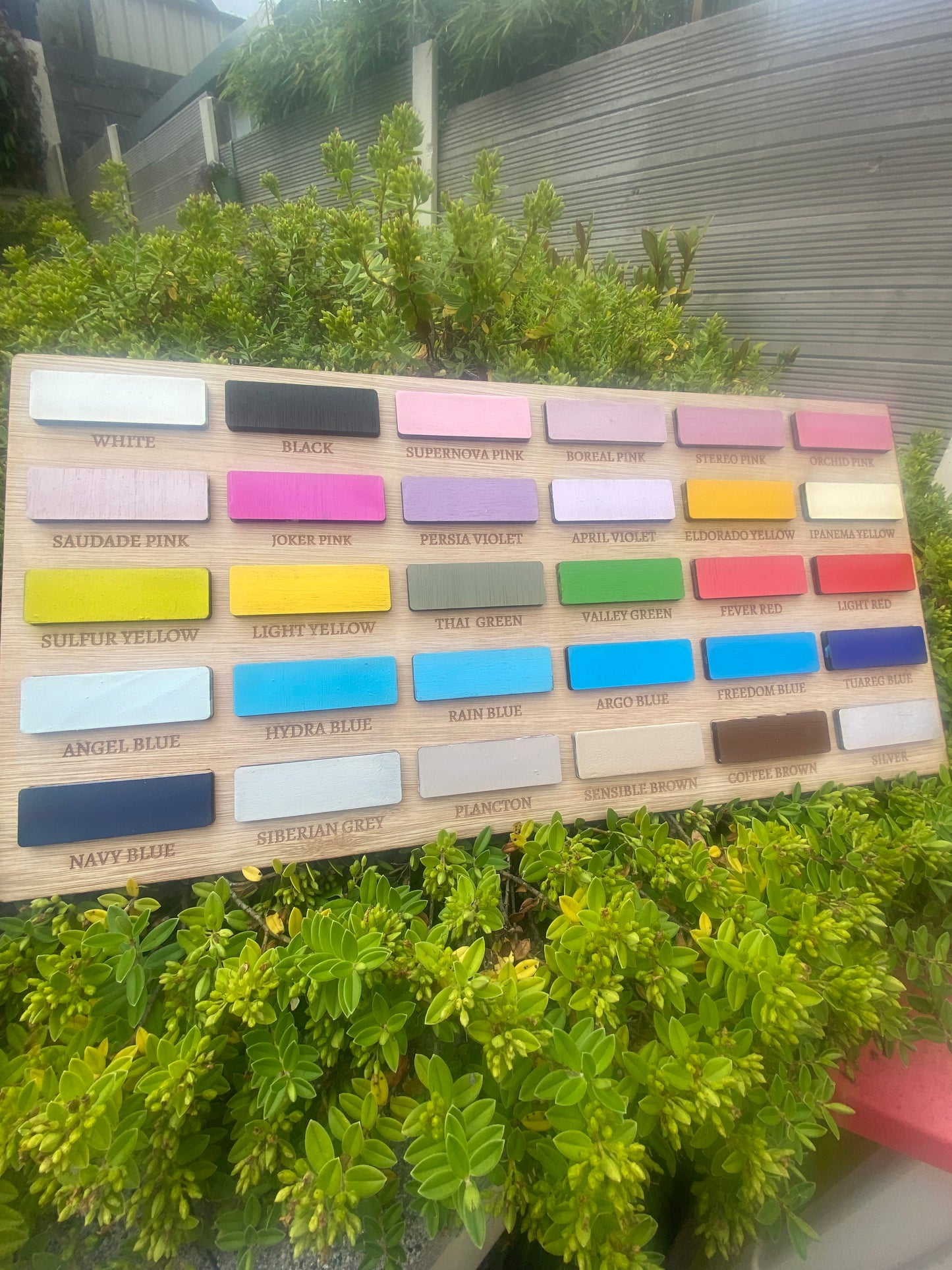 Personalised Truck Storage for toy cars