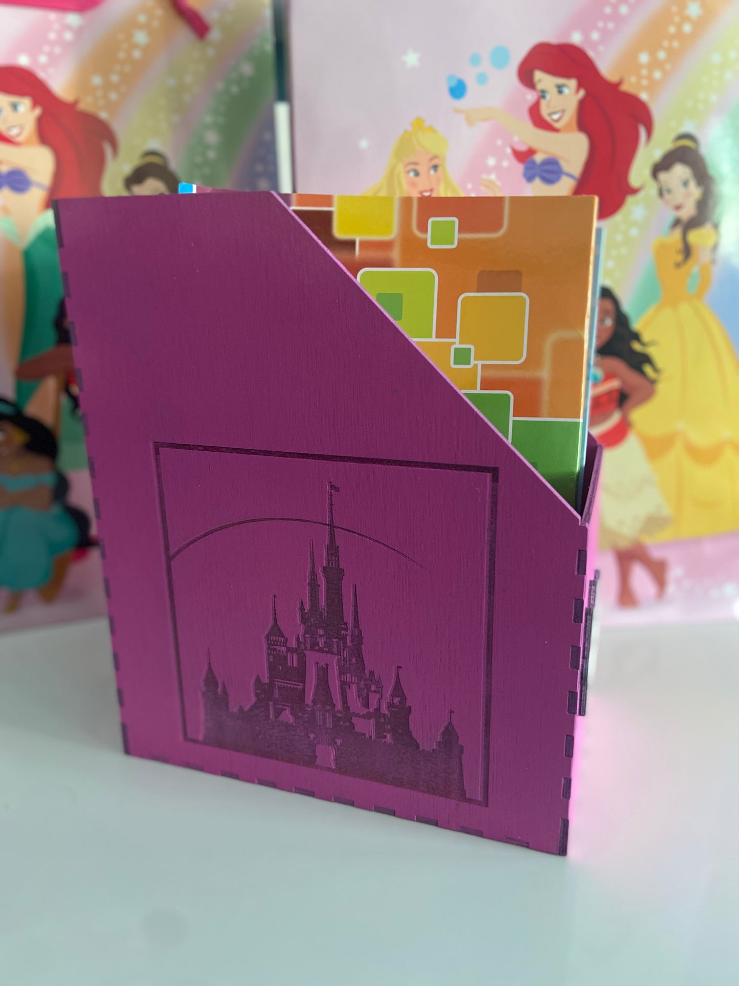 Personalised Disney Princess Colouring Book Holder