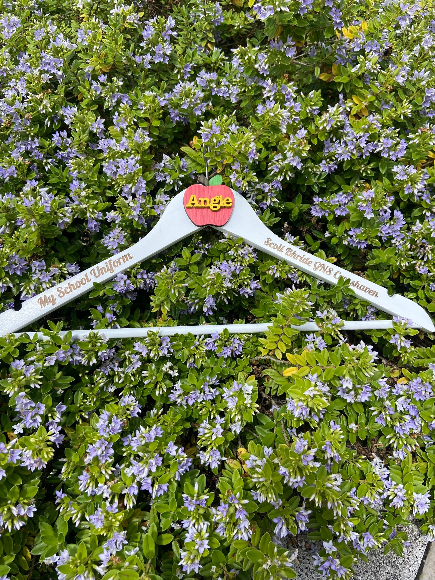 School Uniform Hanger