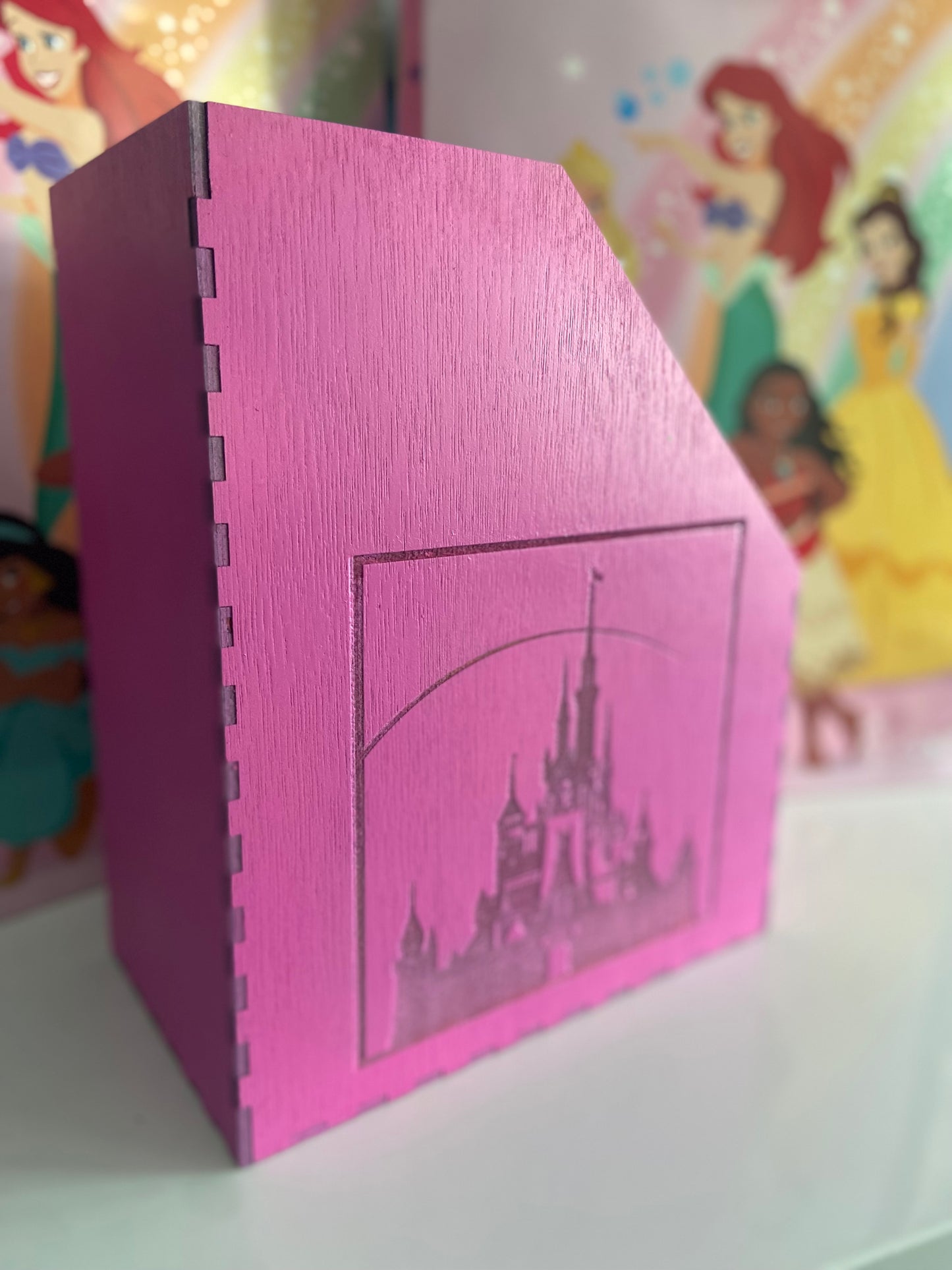 Personalised Disney Princess Colouring Book Holder